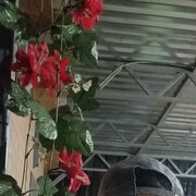 ,  , 26