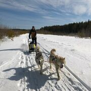 ���������� ������, ���� ������� ������, 32 ����, ������������ ��� ������, ����� � ���������, c�������� ���������, ���������