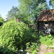 ���������� ������, ���� ������� Normunds, 55 ���, ������������ ��� ������, ����� � ���������, c�������� ���������