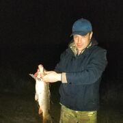  ,   Sergei, 45 ,   ,   