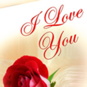  ,   Giorgi, 45 ,   