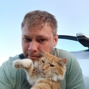  ,   , 38 ,   ,   