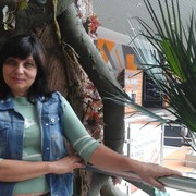  ,   , 58 ,   