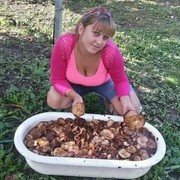  ,   , 36 ,   ,   , c 