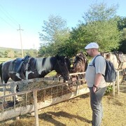 ���������� �������, ���� ������� �������, 36 ���, ������������ ��� ������, ����� � ���������, c�������� ���������