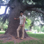 ���������� �������, ���� ������� �����, 38 ���, ������������ ��� ������