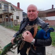  ,   , 53 ,   ,   