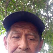  ,   , 66 ,   ,   , c , 