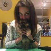 ���������� ����, ���� ������� ��������, 33 ����, ������������ ��� ������, ����� � ���������, c�������� ���������, ���������