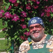 ���������� ������, ���� ������� ������, 78 ���, ������������ ��� ������