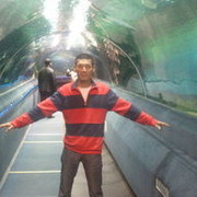 ���������� ������, ���� ������� ����, 44 ����, ������������ ��� ������