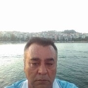  ,   , 43 ,   ,   , 