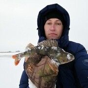 ���������� ������-���, ���� ������� ����������, 36 ���, ������������ ��� ������, ����� � ���������, c�������� ���������