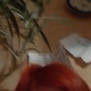 ���������� �����, ���� ������� �������, 48 ���, ������������ ��� ������, ����� � ���������