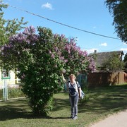 ���������� ��������, ���� ������� ������, 69 ���, ������������ 