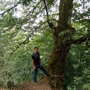  ,    , 36 ,   c 