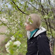 ���������� �����������, ���� ������� �����, 55 ���, ������������ ��� c�������� ���������