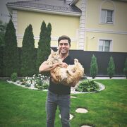 ���������� ������, ���� ������� �������, 37 ���, ������������ ��� ������, ����� � ���������