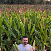 ���������� ������ ��������, ���� ������� �����, 35 ���, ������������ ��� c�������� ���������