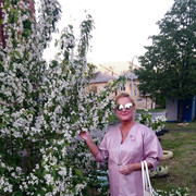  ,   , 54 ,   ,   , c 