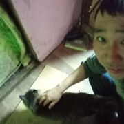 ���������� �������, ���� ������� ����, 32 ����, ������������ ��� ������, ����� � ���������, c�������� ���������