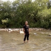  ,  ash569936, 31