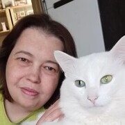 ���������� �����, ���� ������� ����, 45 ���, ������������ ��� ������, ����� � ���������