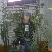   ,   , 37 ,   ,   , c 