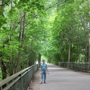 ���������� �����������, ���� ������� ������, 36 ���, ������������ ��� ������, ����� � ���������, c�������� ���������, ���������