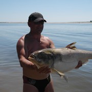 ���������� �������, ���� ������� ���������, 51 ���, ������������ ��� ������, ����� � ���������, c�������� ���������