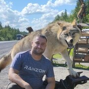  ,   , 37 ,   c , 