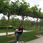  ,   , 57 ,   c 