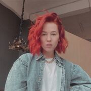 ���������� ���, ������