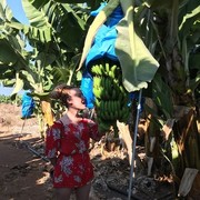 ���������� ������, ���� ������� �����, 40 ���, ������������ ��� ������, ����� � ���������, c�������� ���������