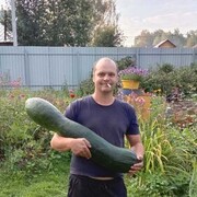 ���������� �����������, ���� ������� ������, 42 ����, ������������ ��� ����� � ���������, c�������� ���������