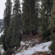  ,   , 43 ,  