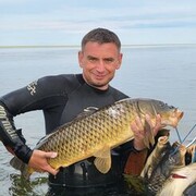 ,   Sergei, 44 ,     , c 