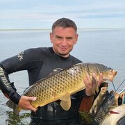  ,   Sergei, 43 ,     , c 