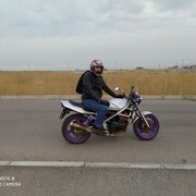 ���������� ��������, ���� ������� ���������, 47 ���, ������������ ��� ������, ����� � ���������, ���������