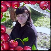  ,  , 53