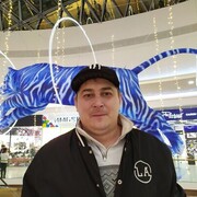 ���������� �����������, ���� ������� ��������, 29 ���, ������������ ��� ������, ����� � ���������