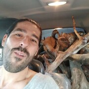 ���������� ������, ���� ������� �������, 38 ���, ������������ ��� ������, ����� � ���������