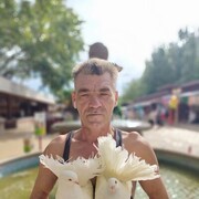  ,   , 52 ,   ,   , c 