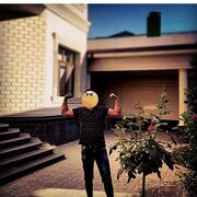 ���������� ��������, ���� ������� ���, 26 ���, ������������ ��� ������, ����� � ���������