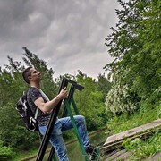 ���������� ������, ���� ������� ����, 41 ���, ������������ ��� ������