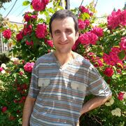 ���������� ������, ���� ������� ����, 41 ���, ������������ ��� ������, ����� � ���������