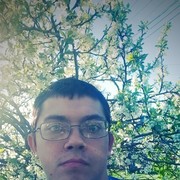  ,  , 29