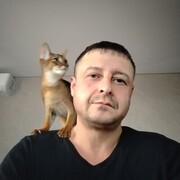 ���������� ���, ���� ������� �������, 41 ���, ������������ ��� ������, ����� � ���������, c�������� ���������