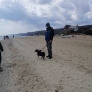 ���������� ���������, ���� ������� �������, 35 ���, ������������ ��� ������, ����� � ���������