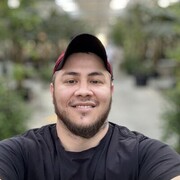  ,  Zafar, 31